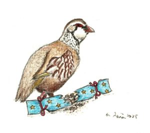 Painting of a partridge on a Christmas Cracker